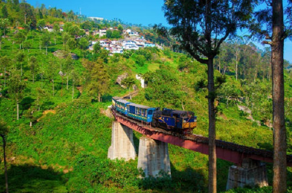 The Nilgiri Mountain Railway