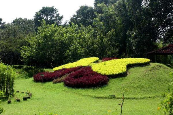 Butterfly Garden - Best Places to Visit in Chandigarh