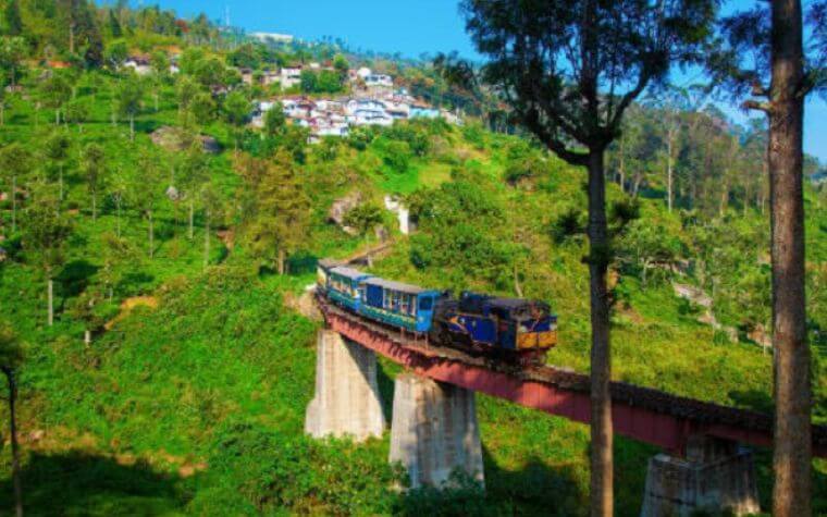 Nilgiri Mountain Railway – The Steepest and Most Scenic Route in South India