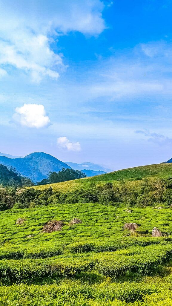 Thekkady – Wildlife, Forests, and Spice Plantations