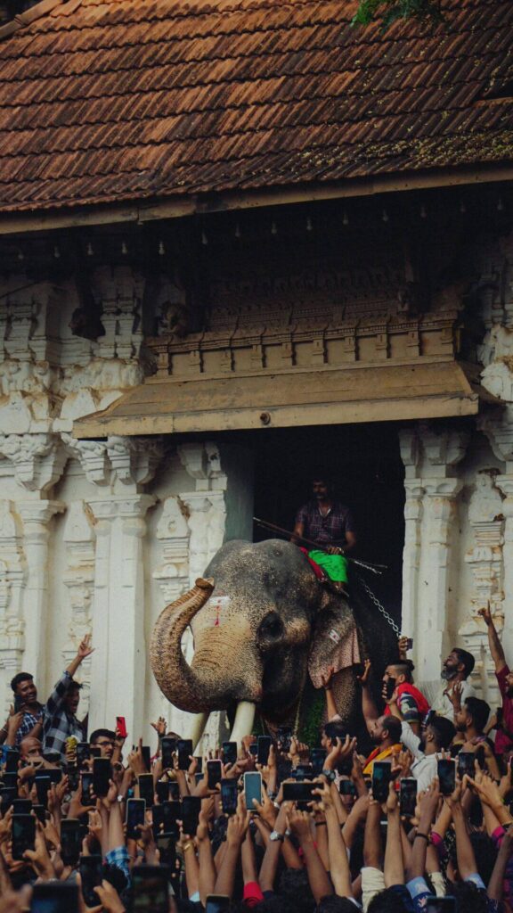 Thrissur – The Cultural Capital of Kerala